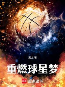 重燃球星梦无防盗