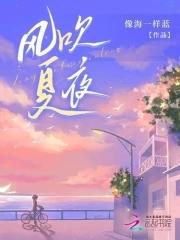 风吹夏夜精编版