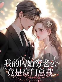 我的闪婚穷老公竟是豪门总裁 掌阅