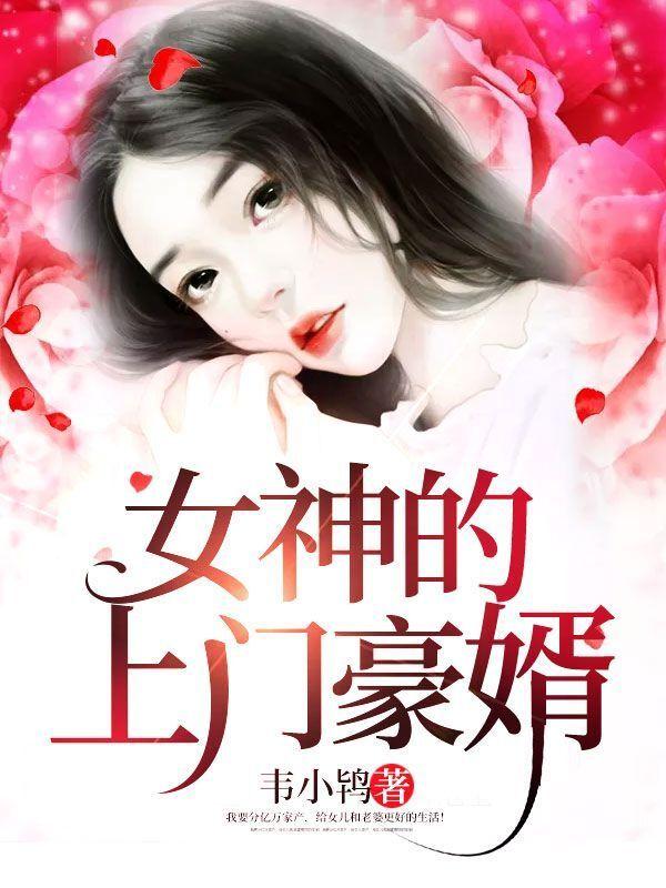 女神的上门豪婿免费版