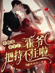 主人公霍爷